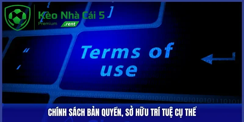 Chính sách bản quyền và sở hữu trí tuệ chi tiết