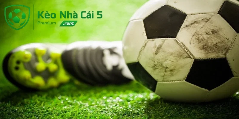 Khái niệm kèo 2.5 là gì