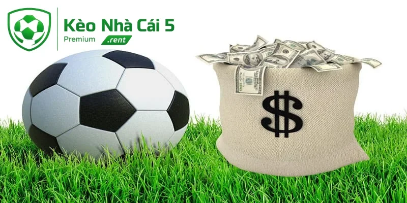 Khám phá thuật ngữ kèo chấp nửa trái là gì?
