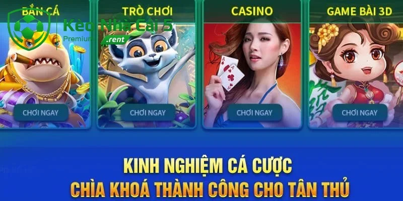 Khi dòng tiền của bạn vận hành thông minh