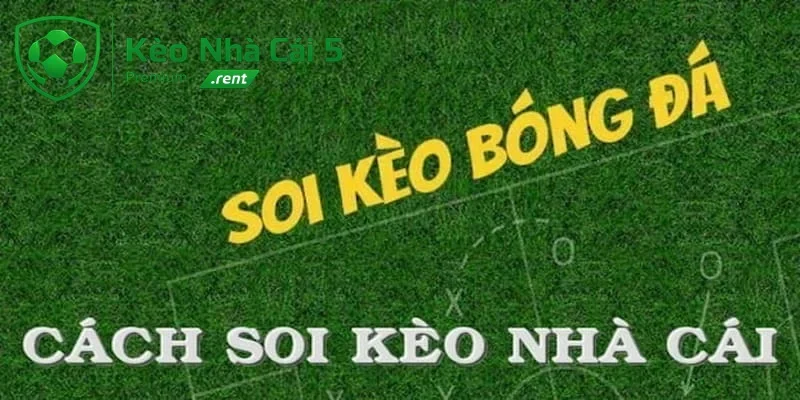 Các lợi thế tiêu biểu của chuyên mục soi kèo bóng đá